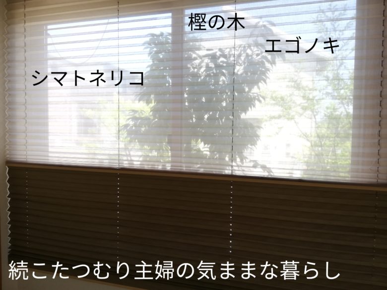 プリーツスクリーンもなみの魅力を伝えたい！使用10年目の口コミ | 続